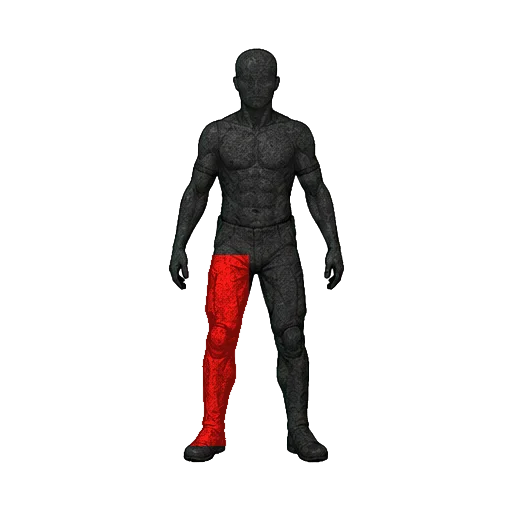 Left Leg